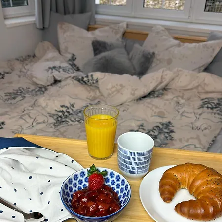 Apartman Pec 322 Apartment